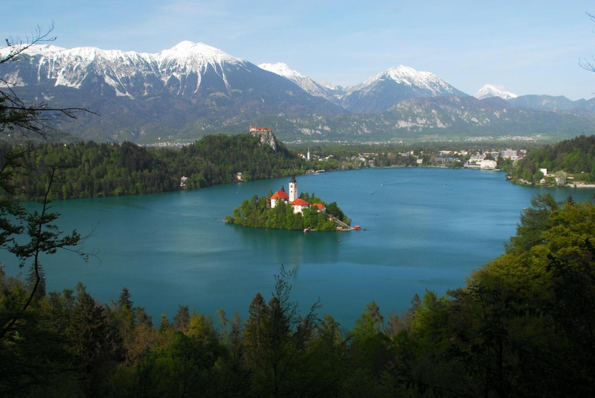 Fantastic Apartment Brglez Bohinjska Bela Eksteriør billede