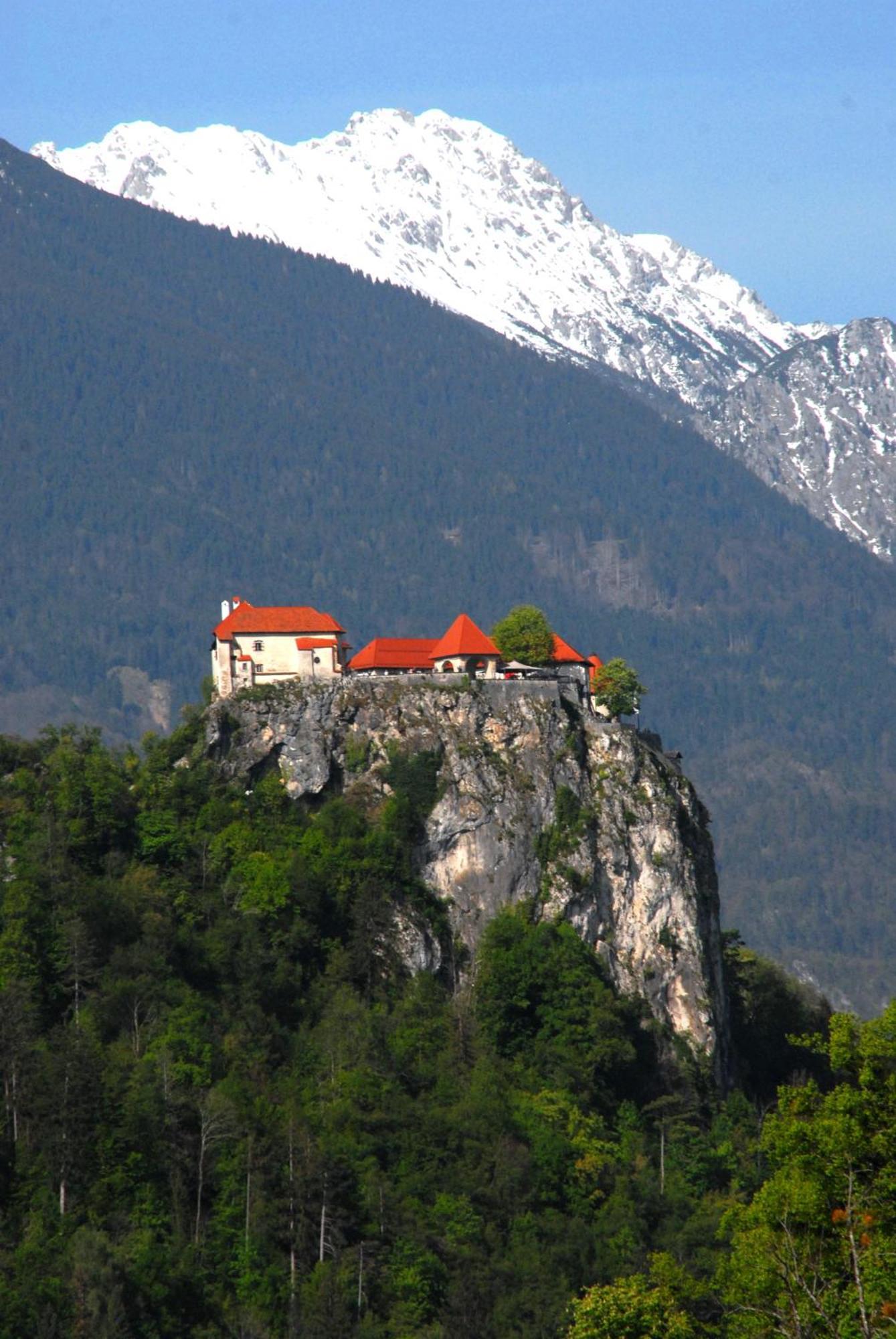 Fantastic Apartment Brglez Bohinjska Bela Eksteriør billede